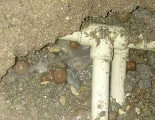营口市卫生间测漏