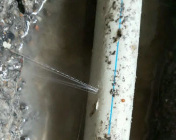 营口市卫生间测漏水多少钱